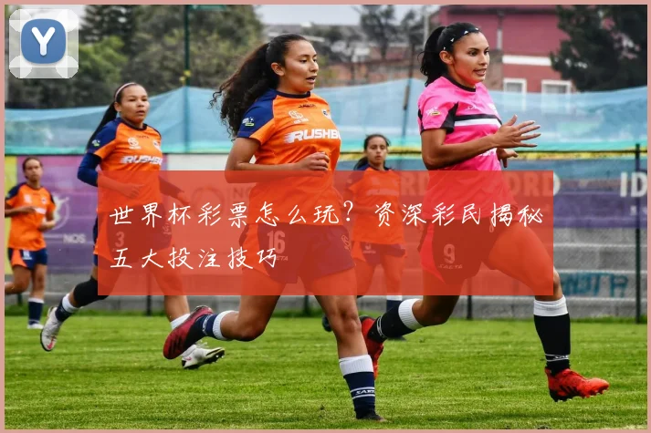 世界杯彩票怎么玩？资深彩民揭秘五大投注技巧