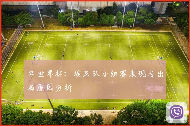 年世界杯：埃及队小组赛表现与出局原因分析
