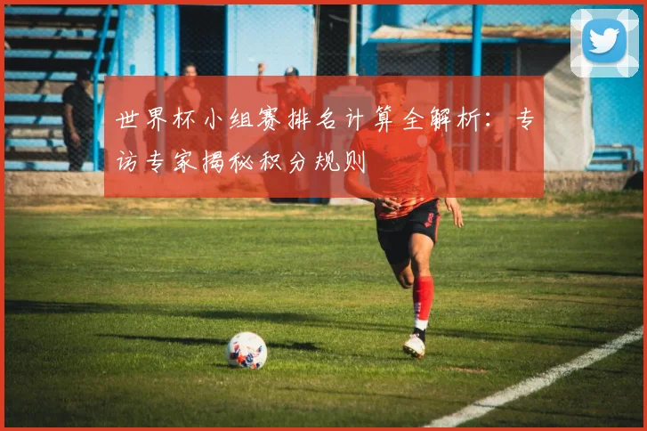 世界杯小组赛排名计算全解析：专访专家揭秘积分规则
