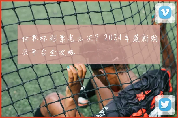 世界杯彩票怎么买？2024年最新购买平台全攻略