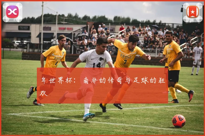 年世界杯：南非的传奇与足球的狂欢