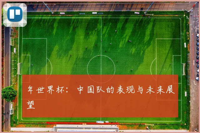 年世界杯：中国队的表现与未来展望