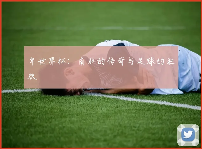 年世界杯：南非的传奇与足球的狂欢